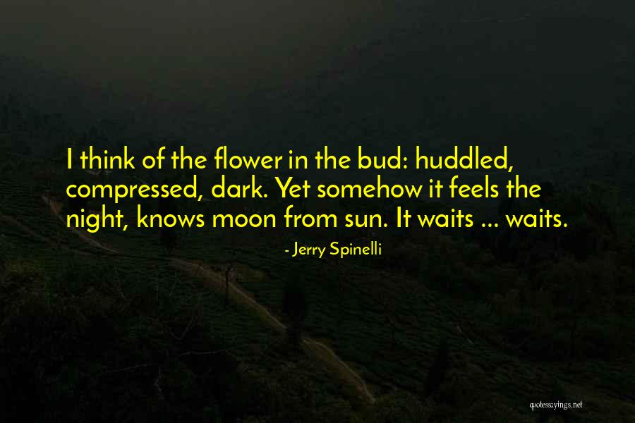 Uihlein Family Quotes By Jerry Spinelli Uihlein Family Quotes By Jerry Spinelli