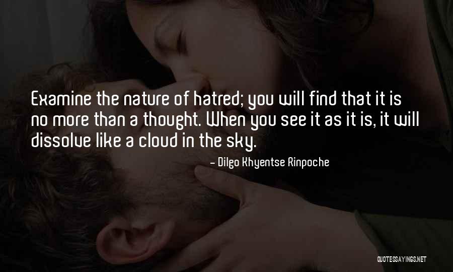 Uitschelden Synoniemen Quotes By Dilgo Khyentse Rinpoche Uitschelden Synoniemen Quotes By Dilgo Khyentse Rinpoche