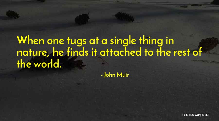 Uitschelden Synoniemen Quotes By John Muir Uitschelden Synoniemen Quotes By John Muir