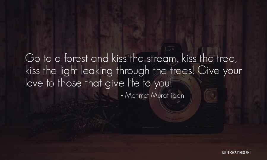 Uivaarten Quotes By Mehmet Murat Ildan Uivaarten Quotes By Mehmet Murat Ildan