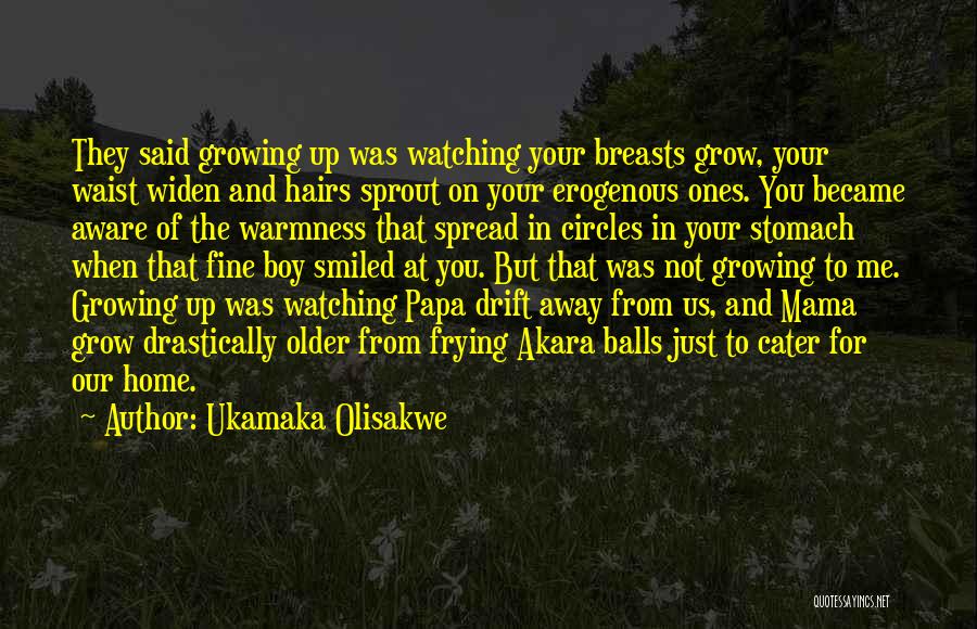 Ukamaka Olisakwe Quotes 2159992