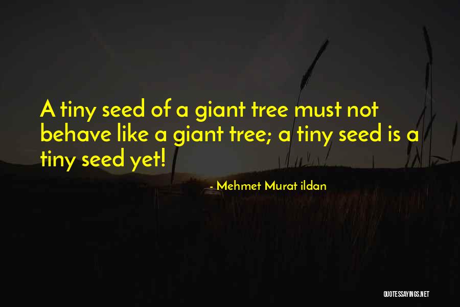 Ukryte Szuflady Quotes By Mehmet Murat Ildan Ukryte Szuflady Quotes By Mehmet Murat Ildan