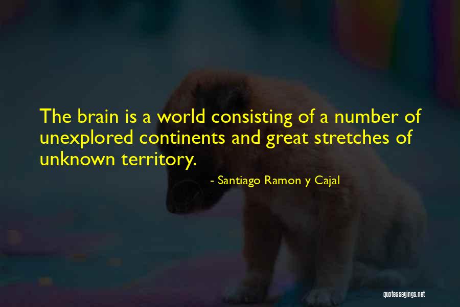 Ulas Family Quotes By Santiago Ramon Y Cajal Ulas Family Quotes By Santiago Ramon Y Cajal