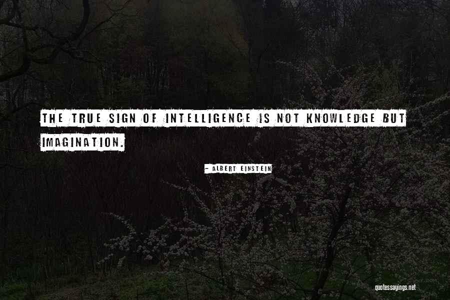 Ulazak U Crnu Goru Quotes By Albert Einstein