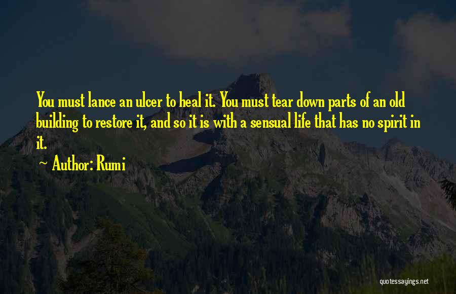 Ulcer Quotes By Rumi