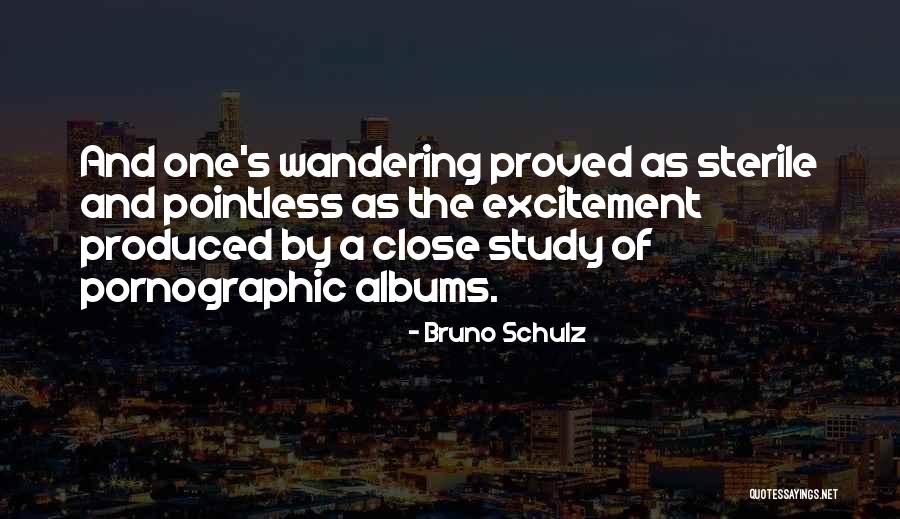 Ulett House Quotes By Bruno Schulz Ulett House Quotes By Bruno Schulz