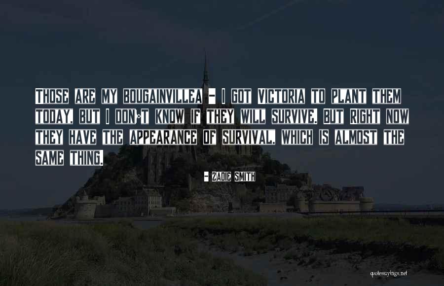Ulja Za Quotes By Zadie Smith Ulja Za Quotes By Zadie Smith