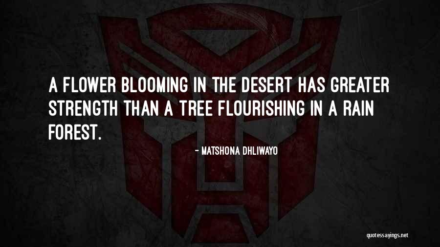 Ullmer Racing Quotes By Matshona Dhliwayo
