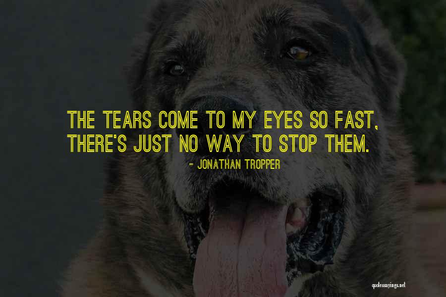 Ulloa Quotes By Jonathan Tropper Ulloa Quotes By Jonathan Tropper