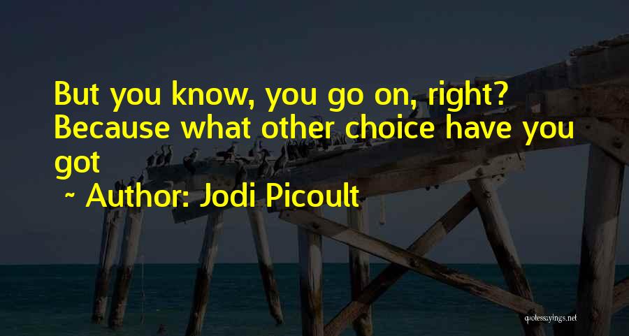 Ulong Pugot Quotes By Jodi Picoult