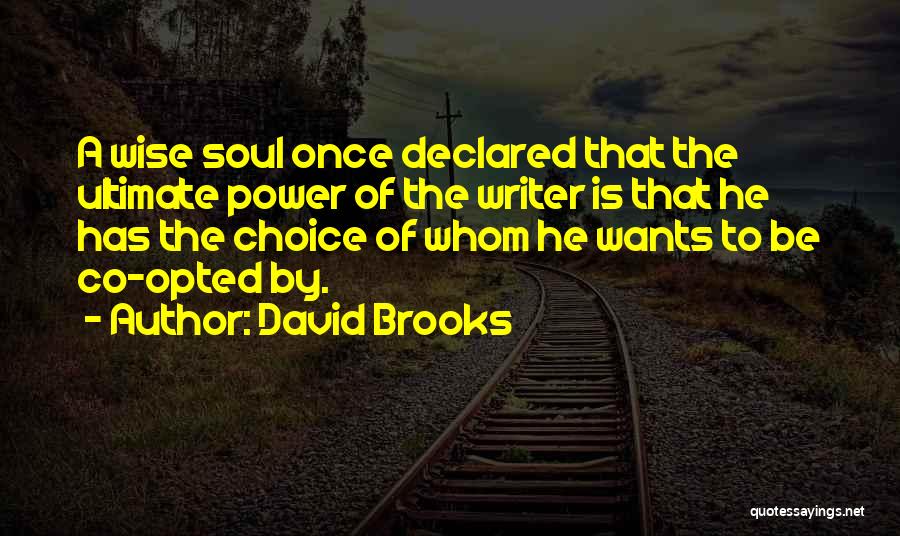 Ultimate Power Quotes By David Brooks