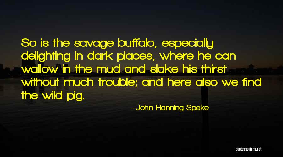Ultramagnetic Albums Quotes By John Hanning Speke Ultramagnetic Albums Quotes By John Hanning Speke
