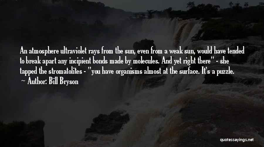 Ultraviolet Quotes By Bill Bryson