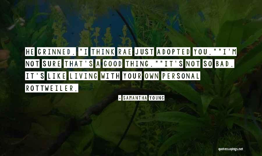 Ulusal Kanal Quotes By Samantha Young Ulusal Kanal Quotes By Samantha Young