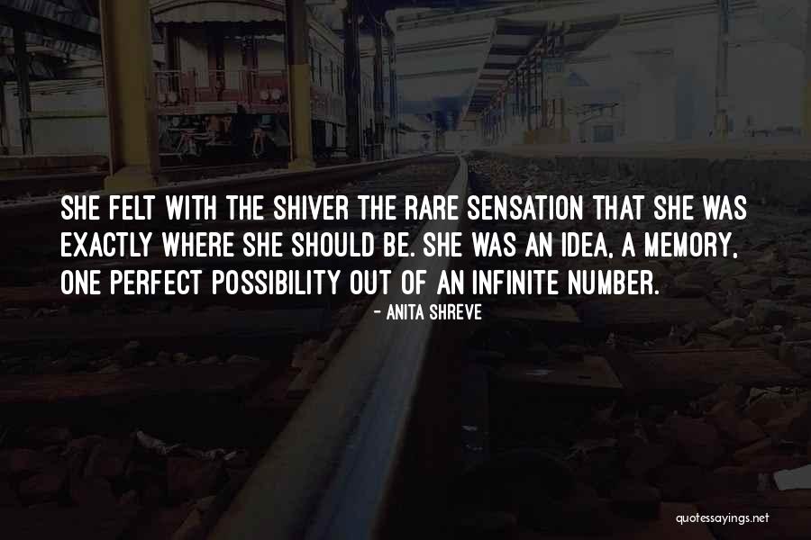 Ulyssa Chambers Quotes By Anita Shreve Ulyssa Chambers Quotes By Anita Shreve