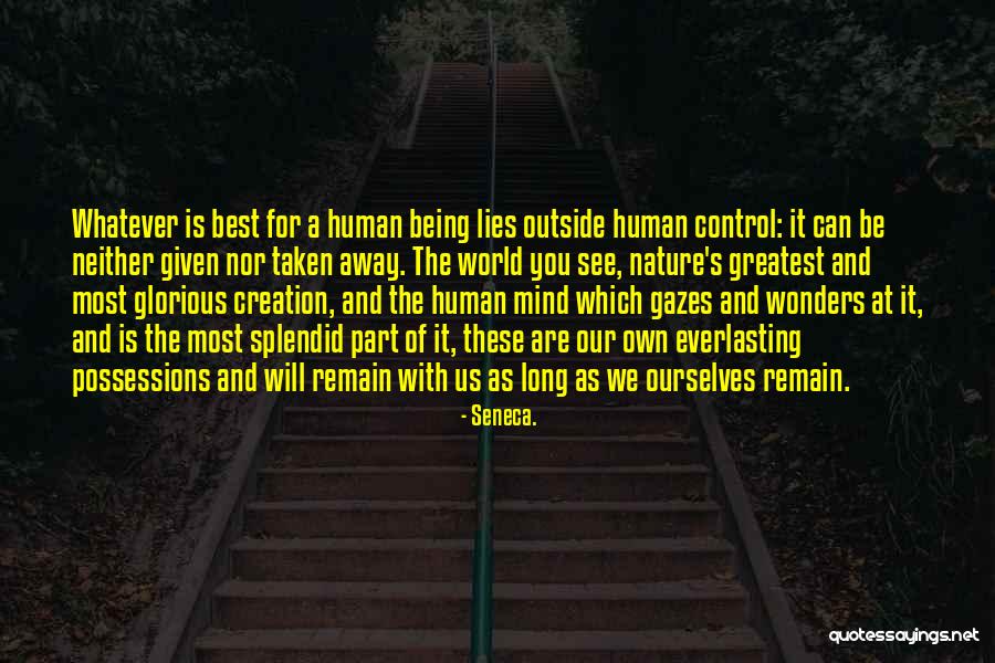 Umami Russellville Arkansas Quotes By Seneca. Umami Russellville Arkansas Quotes By Seneca.