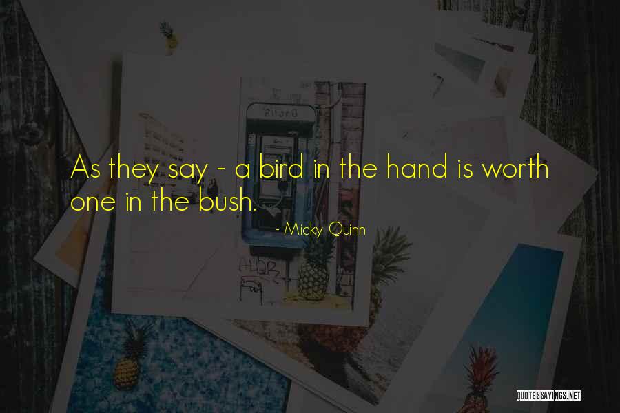 Umbo Clam Quotes By Micky Quinn Umbo Clam Quotes By Micky Quinn