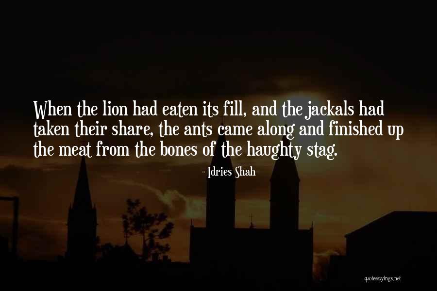 Umbrage Antonym Quotes By Idries Shah Umbrage Antonym Quotes By Idries Shah