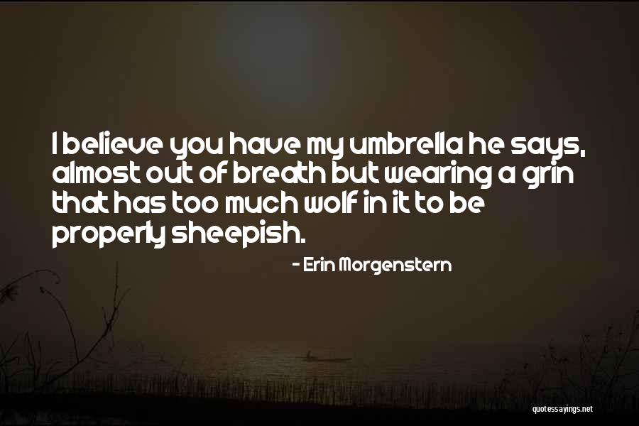 Umbrella Quotes By Erin Morgenstern