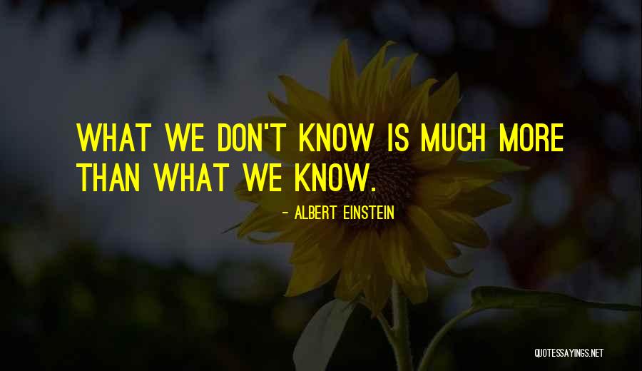 Ume Tea Quotes By Albert Einstein