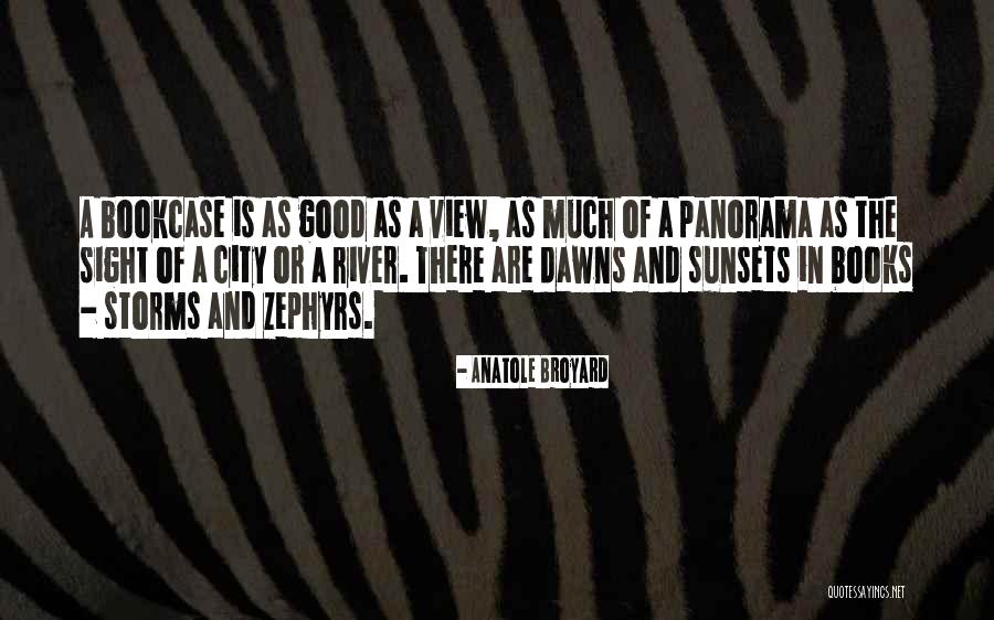 Umetnik Tapi Quotes By Anatole Broyard Umetnik Tapi Quotes By Anatole Broyard