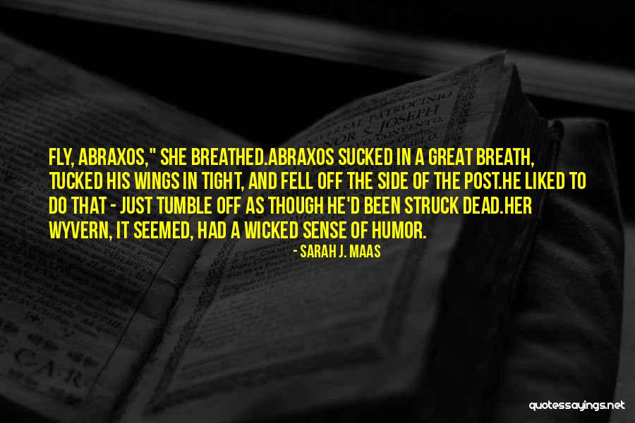 Umfang Der Quotes By Sarah J. Maas Umfang Der Quotes By Sarah J. Maas