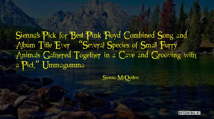 Ummagumma Pink Quotes By Sienna McQuillen Ummagumma Pink Quotes By Sienna McQuillen