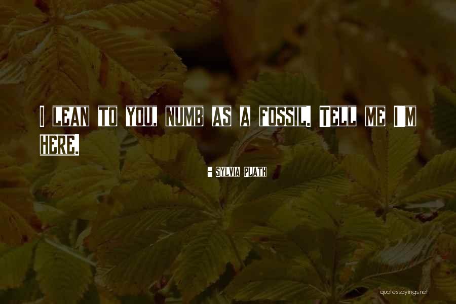 Umore Park Quotes By Sylvia Plath Umore Park Quotes By Sylvia Plath
