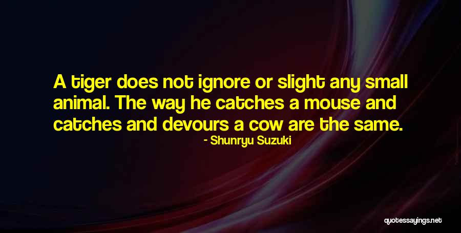 Umpth Quotes By Shunryu Suzuki Umpth Quotes By Shunryu Suzuki