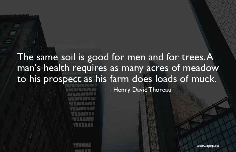 Umumum Quotes By Henry David Thoreau Umumum Quotes By Henry David Thoreau