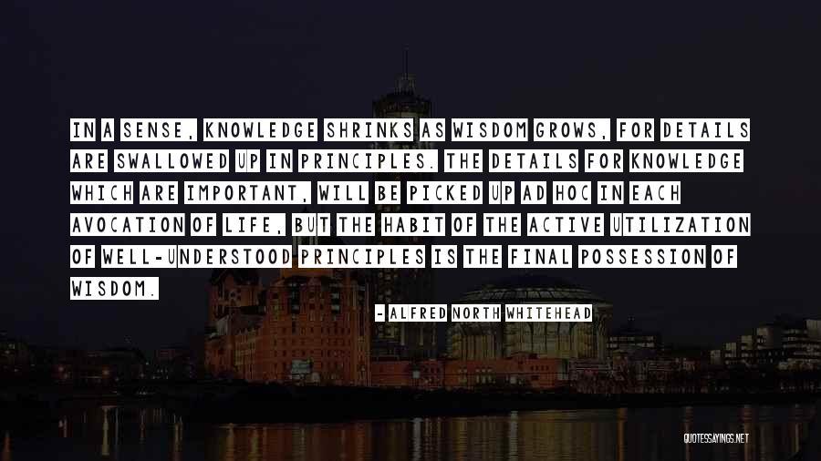 Umunna Nigeria Quotes By Alfred North Whitehead Umunna Nigeria Quotes By Alfred North Whitehead