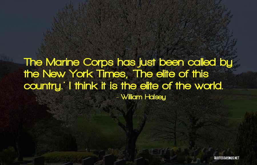 Umvc3 Wesker Quotes By William Halsey Umvc3 Wesker Quotes By William Halsey