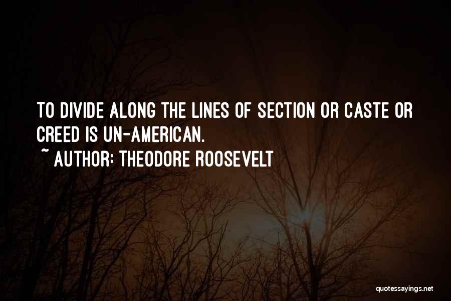 Un American Quotes By Theodore Roosevelt