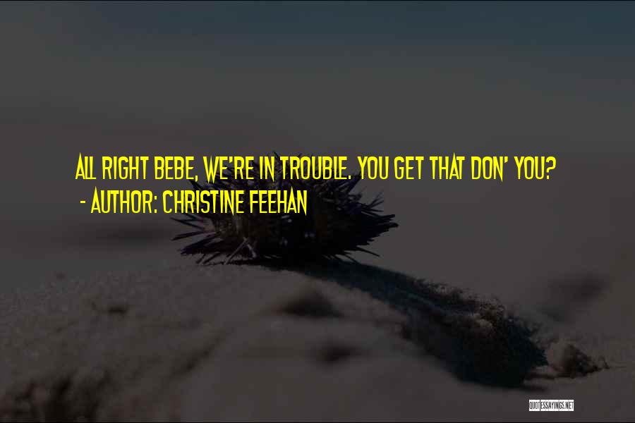 Un Bebe Quotes By Christine Feehan