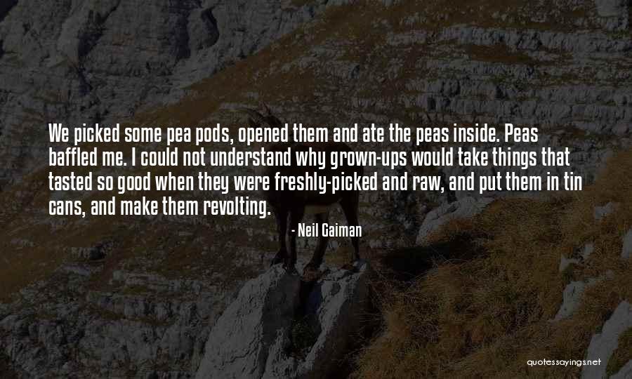 Un Chien Andalou Quotes By Neil Gaiman Un Chien Andalou Quotes By Neil Gaiman