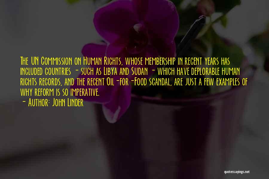 Un Human Rights Quotes By John Linder