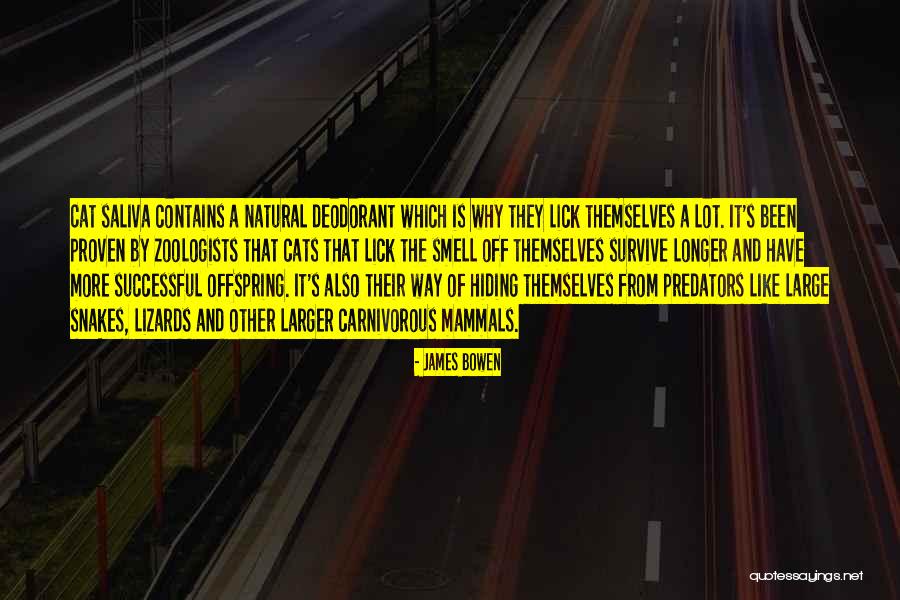 Un Immagine Di Quotes By James Bowen Un Immagine Di Quotes By James Bowen