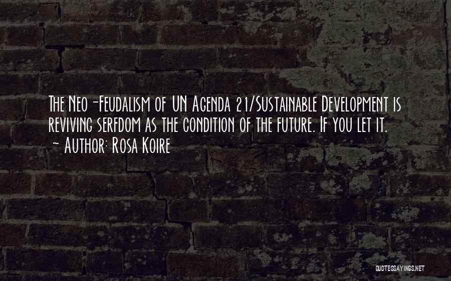 Un Quotes By Rosa Koire