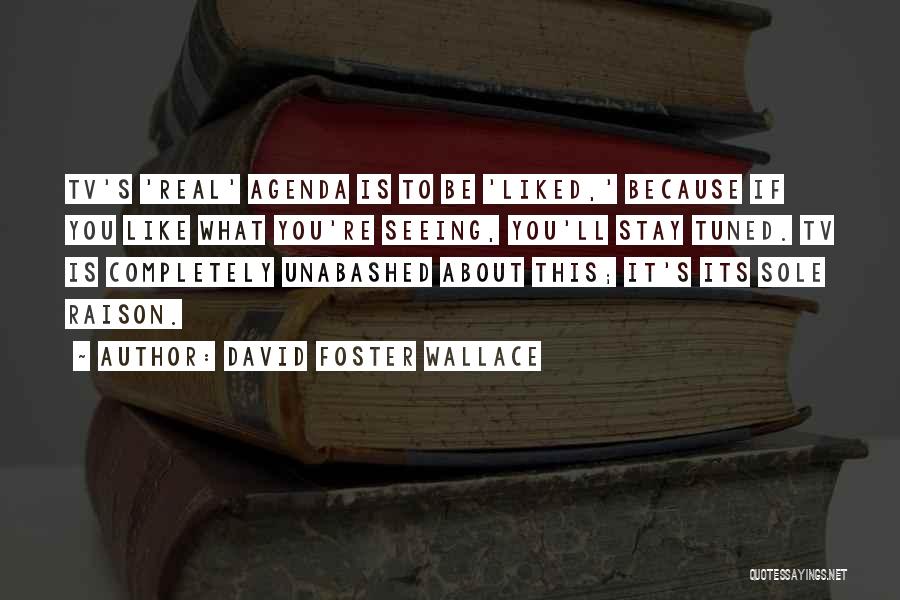 Unabashed Quotes By David Foster Wallace