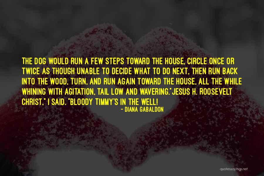 Unable To Decide Quotes By Diana Gabaldon Unable To Decide Quotes By Diana Gabaldon