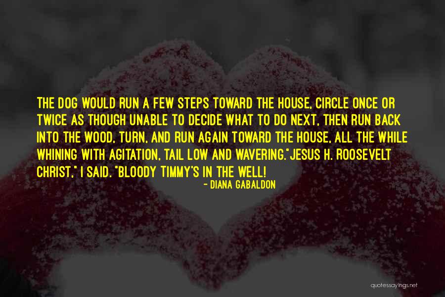 Unable To Decide Quotes By Diana Gabaldon