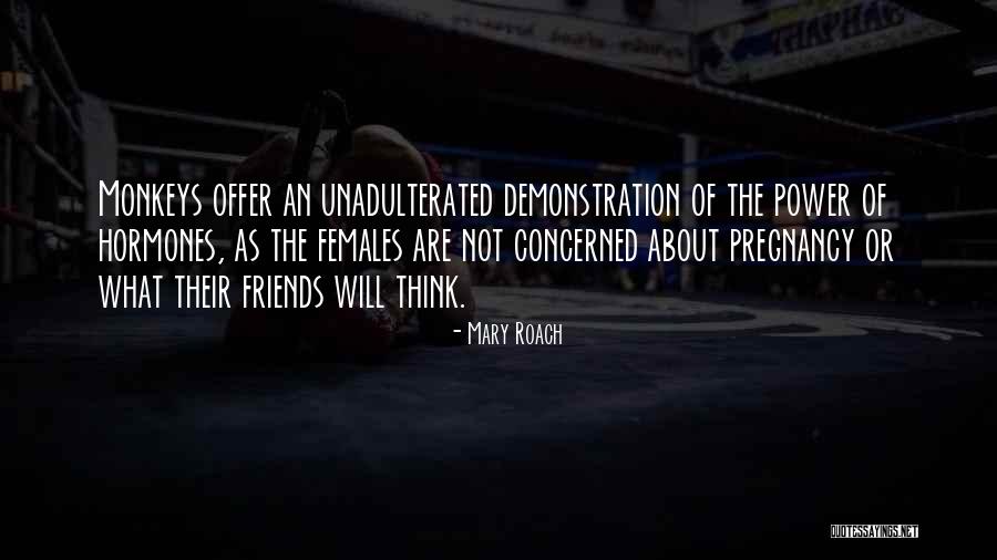 Unadulterated Quotes By Mary Roach Unadulterated Quotes By Mary Roach