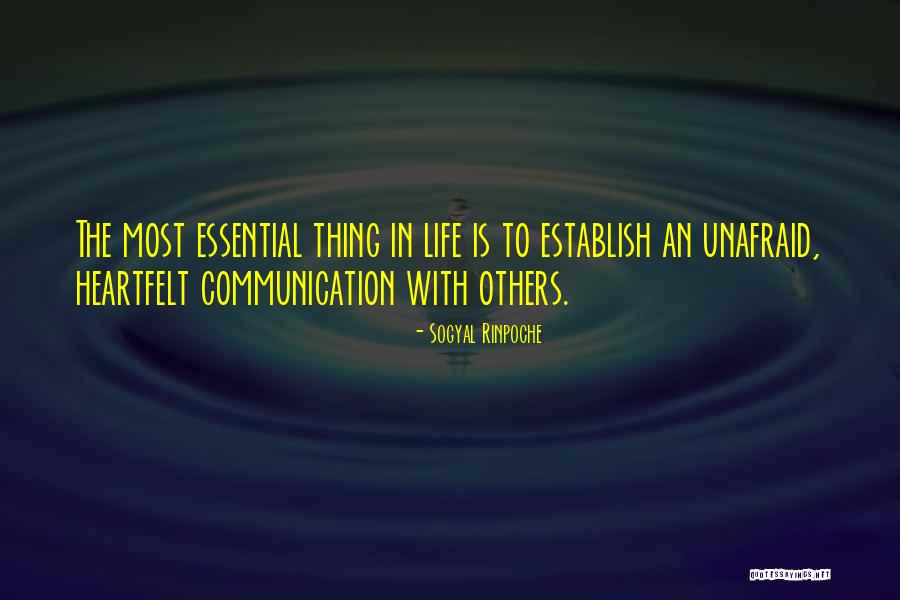 Unafraid Of Life Quotes By Sogyal Rinpoche Unafraid Of Life Quotes By Sogyal Rinpoche