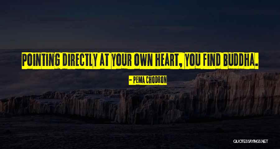 Unalarmingly Quotes By Pema Chodron Unalarmingly Quotes By Pema Chodron