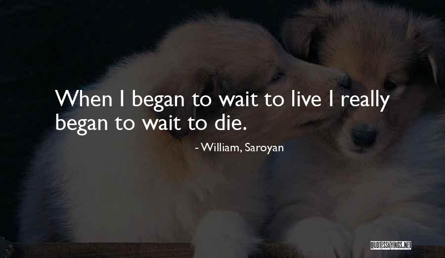 Unamis Plant Quotes By William, Saroyan Unamis Plant Quotes By William, Saroyan