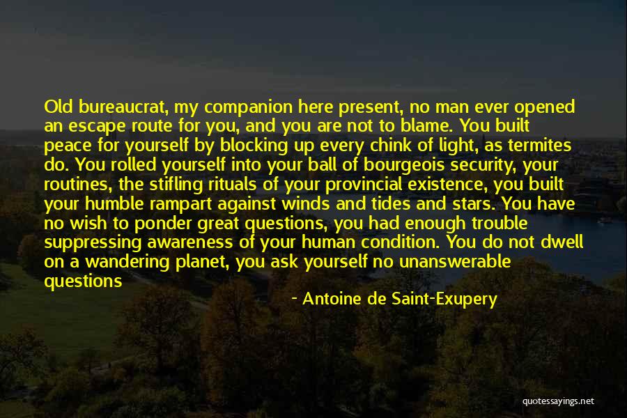 Unanswerable Questions Quotes By Antoine De Saint-Exupery