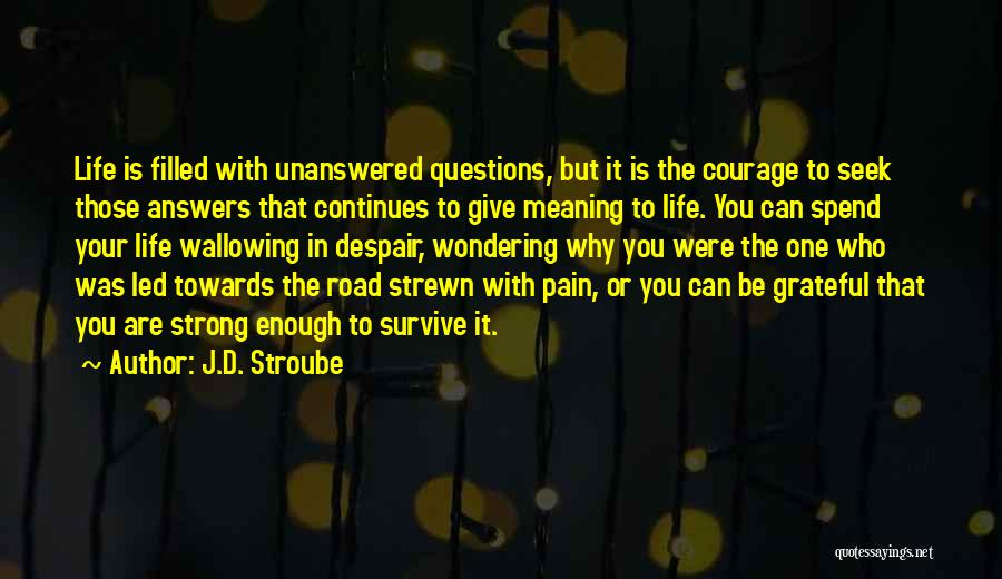 Unanswered Life Quotes By J.D. Stroube
