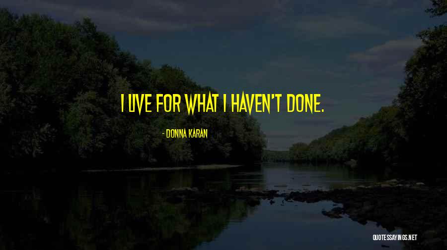 Unapplied Disbursement Quotes By Donna Karan Unapplied Disbursement Quotes By Donna Karan