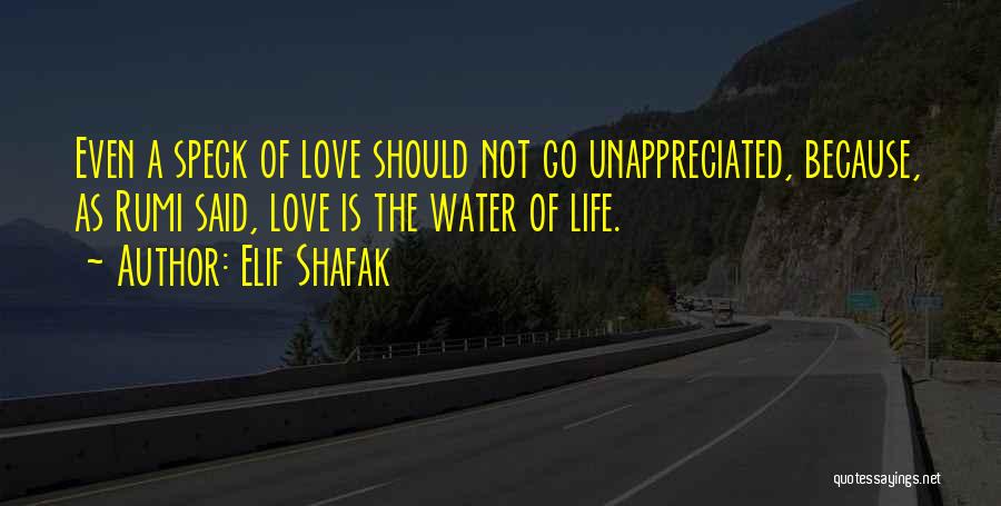 Unappreciated Quotes By Elif Shafak