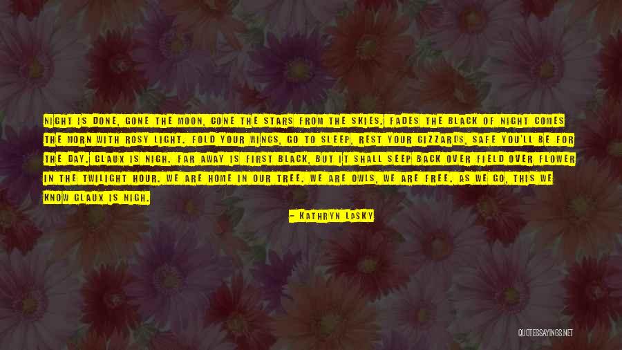 Unattainability Synonym Quotes By Kathryn Lasky Unattainability Synonym Quotes By Kathryn Lasky